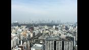 Obligatory Tokyo Skyline Shot 2